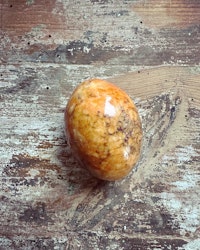 Stenägg orange