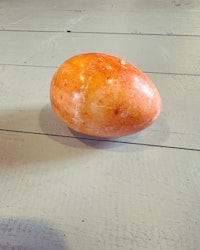 Stenägg orange