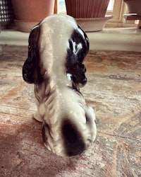 Hund