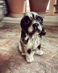 Hund