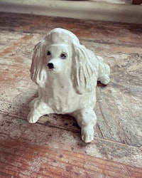 Hund
