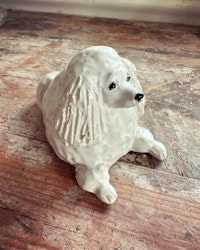 Hund