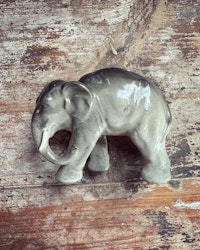 Elefant