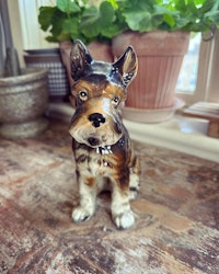 Hund