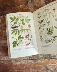 Flora bok
