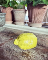 Citron keramik
