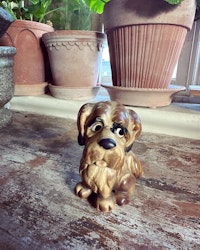Hund