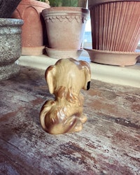 Hund