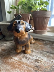 Hund