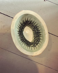 Små kiwi-skålar