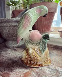 Fågel