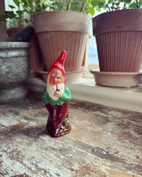 Tomte
