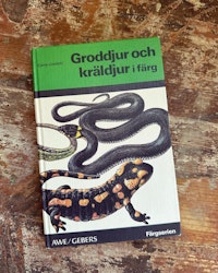 Bok djur