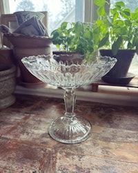 Glasskål på fot