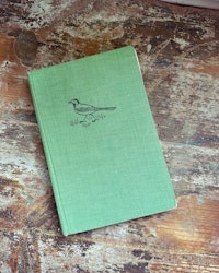 Bok