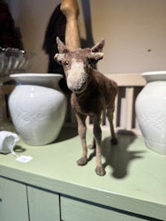 Älg
