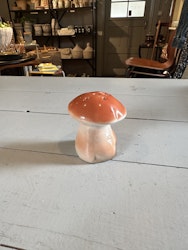 Svamp ströare
