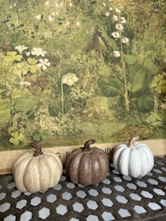 Pumpa beige