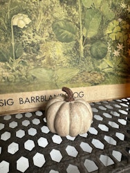 Pumpa beige
