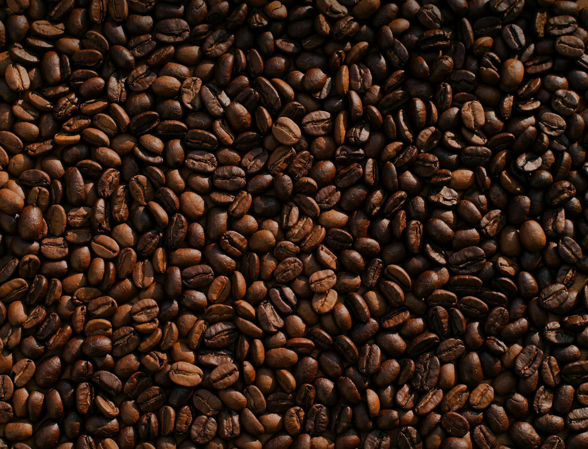 Mörk rostat kaffe - Creme