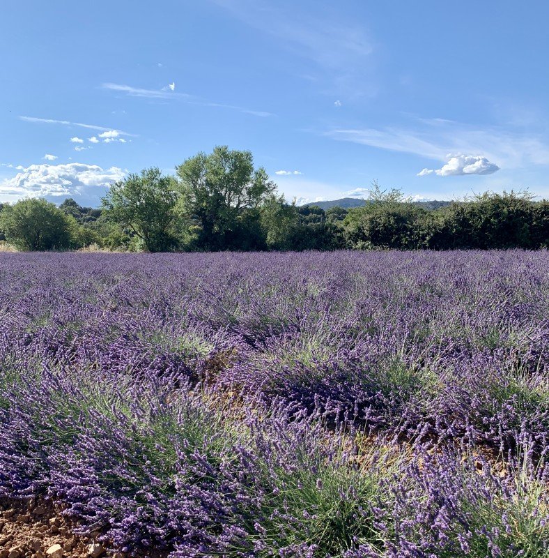 Solhöjdens Tvålmakeri i Provence