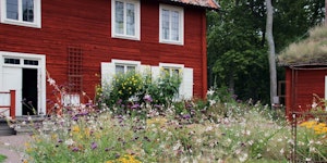 Skörd- och marknadsdag på Linnés Hammarby 10 augusti