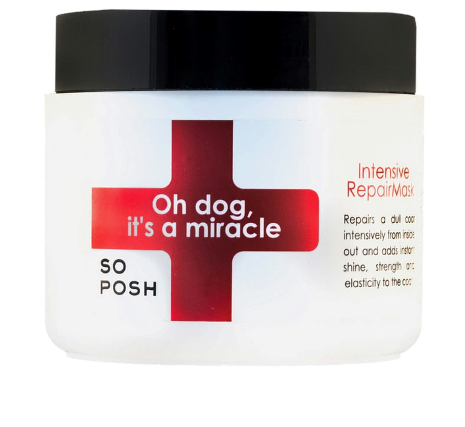 So Posh - Oh Dog, It’s a Miracle Mask