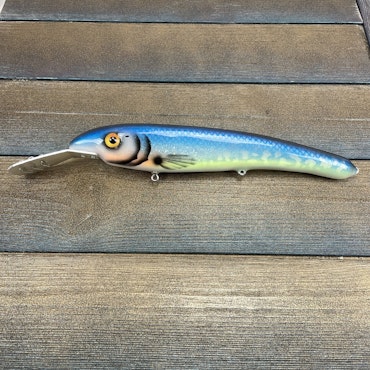 Piscis - Blue pike