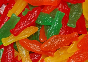 Candybox Perch
