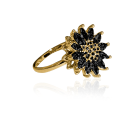 QUEEN BI - STAR GUIDANCE RING Svart