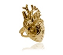HEART VASCULAR RING