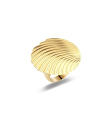 Shelli Ring