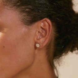 Dottie Studs