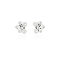 BERRY PEARL STUDS ÖRHÄNGEN
