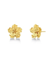 Jasmine Studs S Guld