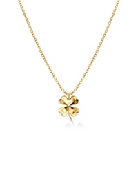 Lucky Necklace