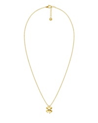 Lucky Necklace