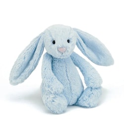 Kanin - Bashful Bunny Blue Medium