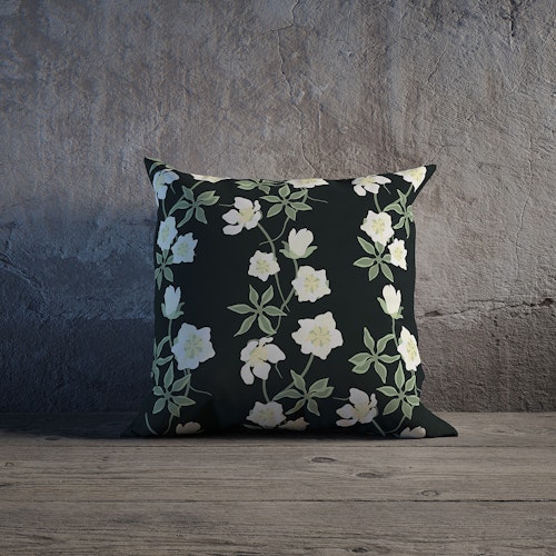 Belle Helle på vinternatt, Helleborus julrosen på svart kuddfodral
