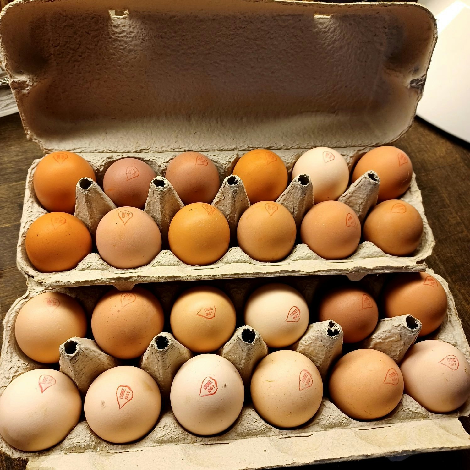 Ägg 12-pack, frigående höns ute/inne, Björkbacka Gård