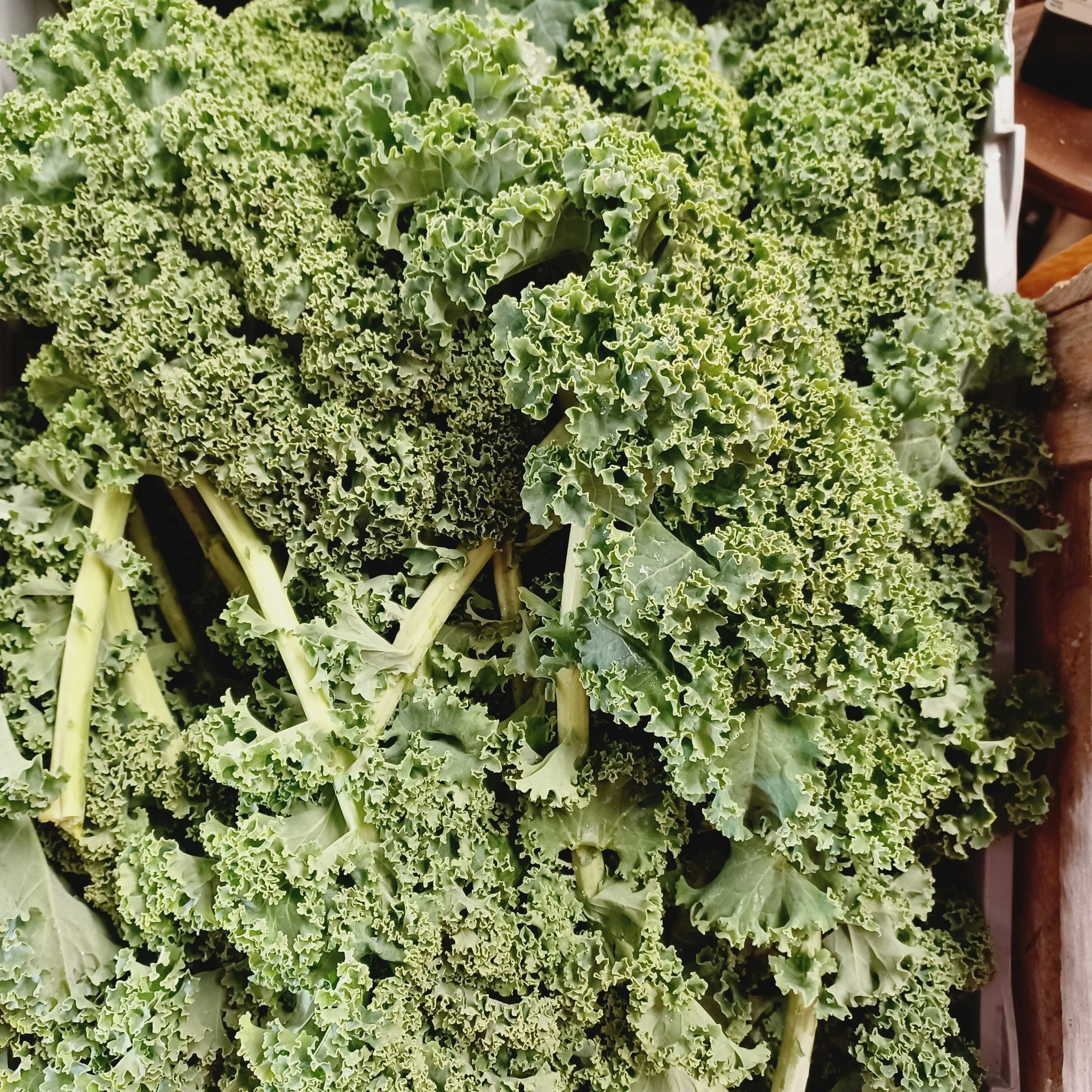 Grönkål, stjälkar, 250g Björkbacka Gård