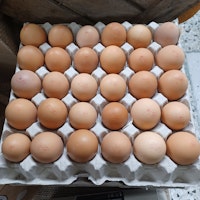 Ägg 30 st flak, frigående höns ute/inne, Björkbacka Gård