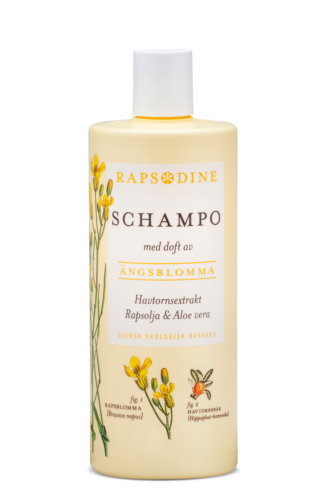 Schampo Parfymerad, 500ml, Rapsodine