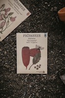 Rödbeta 'Cylindra', Fröbanken