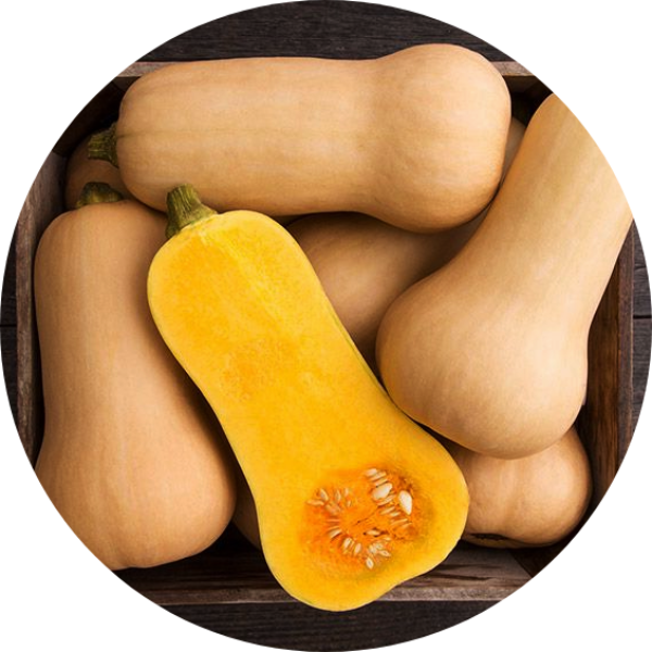 Pumpa, Mysk 'Waltham Butternut', Fröbanken