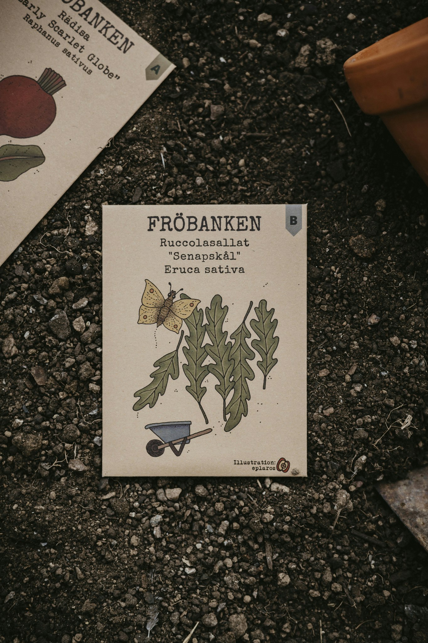 Rucolasallat 'Darkita', Fröbanken