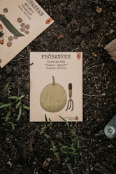 Äppelgurka 'Lemon Apple', Fröbanken