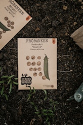 Sockerärt 'Boaryd', Fröbanken