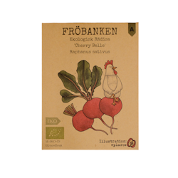 Rädisa 'Cherry Belle' EKO, Fröbanken