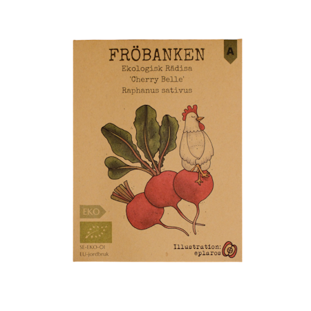 Rädisa 'Cherry Belle' EKO, Fröbanken